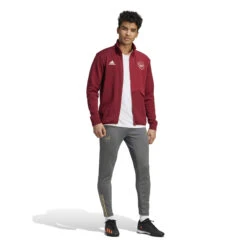 Adidas Arsenal 23/24 Anthem Jacket (Red) 13 Adidas Arsenal 23/24 Anthem Jacket (Red) -Sports-Football Apparel adidas arsenal 23 24 anthem jacket red 4