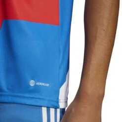 Adidas Bayern Munich 22/23 Prematch Jersey (Red/Blue) -Sports-Football Apparel adidas bayern munich 22 23 prematch jersey red blu 4