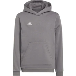 Adidas ENTRADA 22 HOODY YOUTH (GRAY)