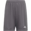 Adidas Entrada 22 Shorts Youth (Gray)