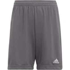 Adidas Entrada 22 Shorts Youth (Gray)
