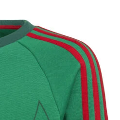 Adidas Mexico 2022 Crew Sweatshirt Youth (Green) -Sports-Football Apparel adidas mexico 2022 crew sweatshirt youth green 3
